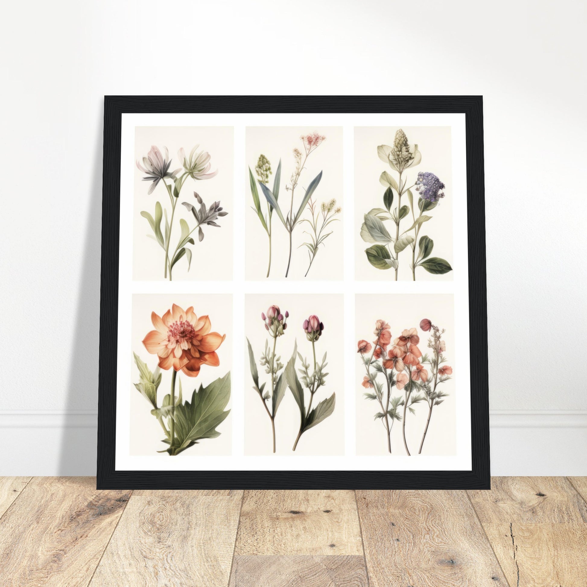 Elegance - Botanical Artwork #3- Print Room Ltd Dark wood frame 70x70 cm / 28x28"
