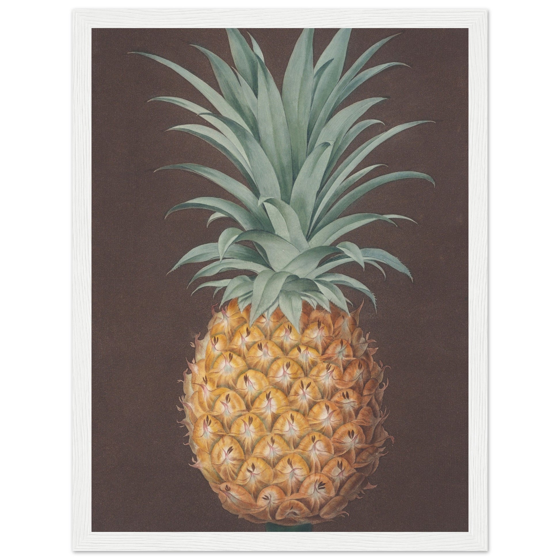 Pineapple Art Print white frame | By Print Room Ltd