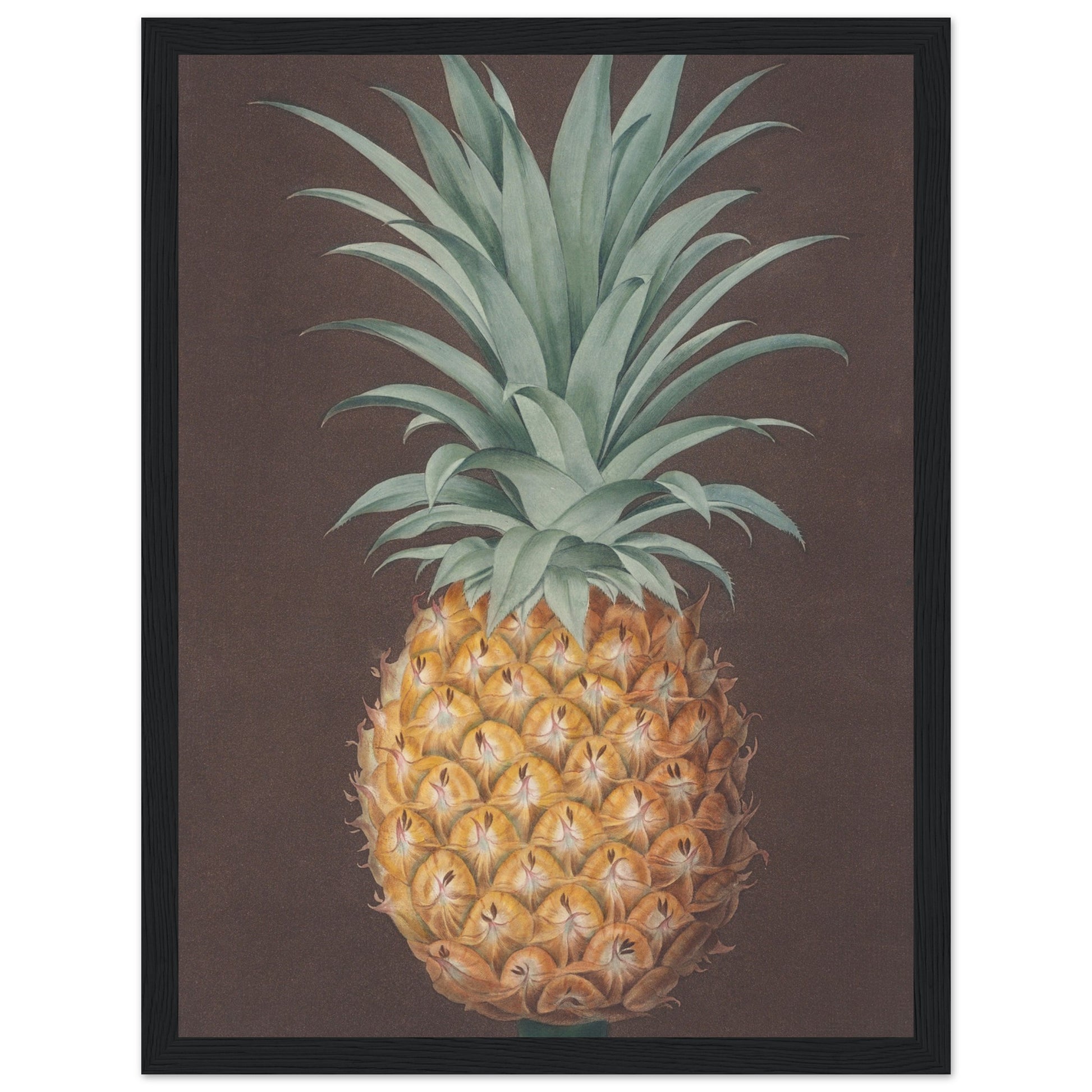Pineapple Art Print  Black Frame | By Print Room Ltd