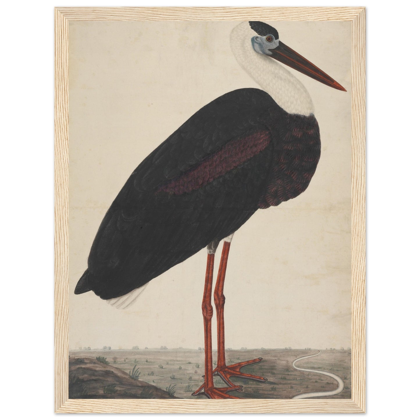 Stork artwork print wood frame | by Print Room Ltd