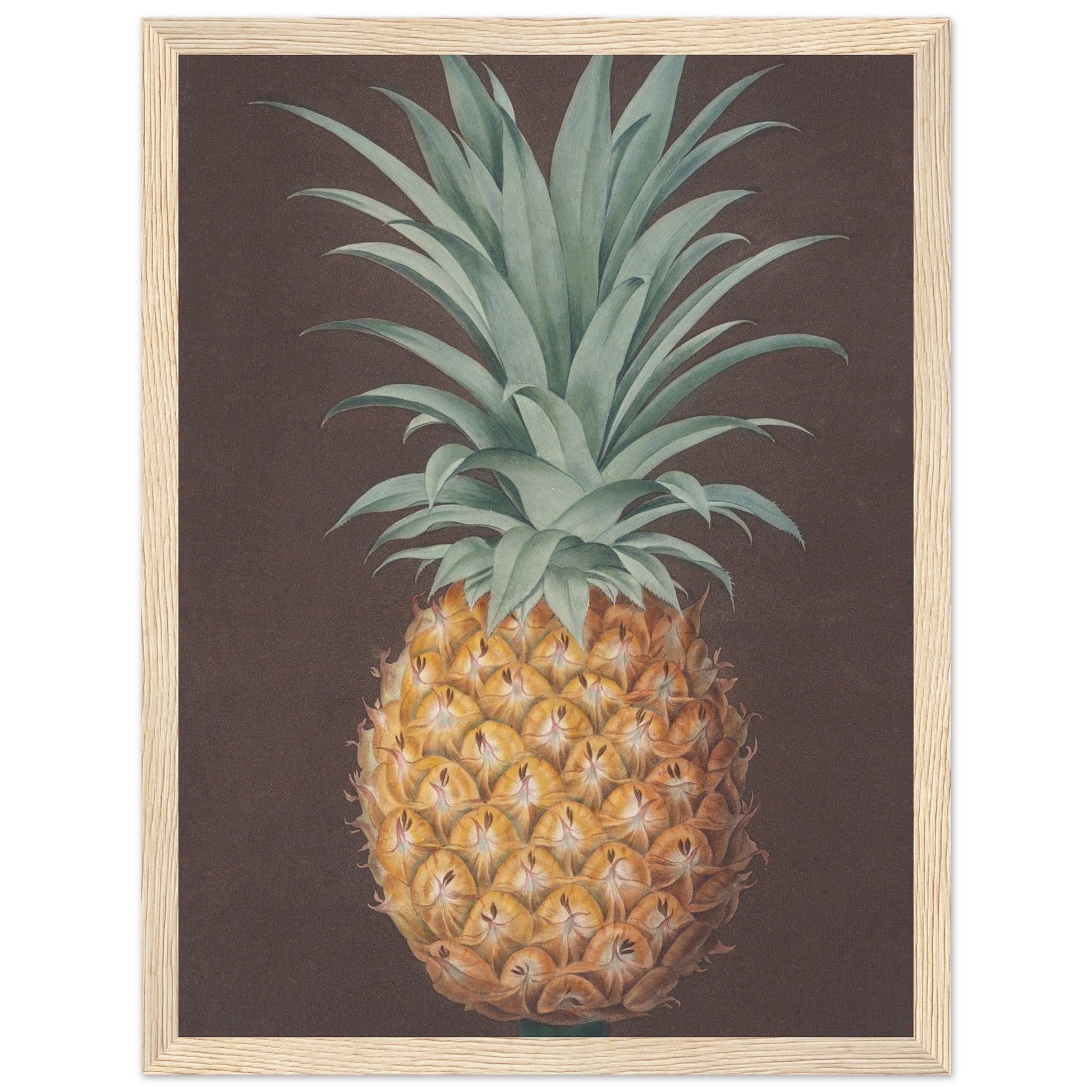 Pineapple Art Print  wood frame| By Print Room Ltd