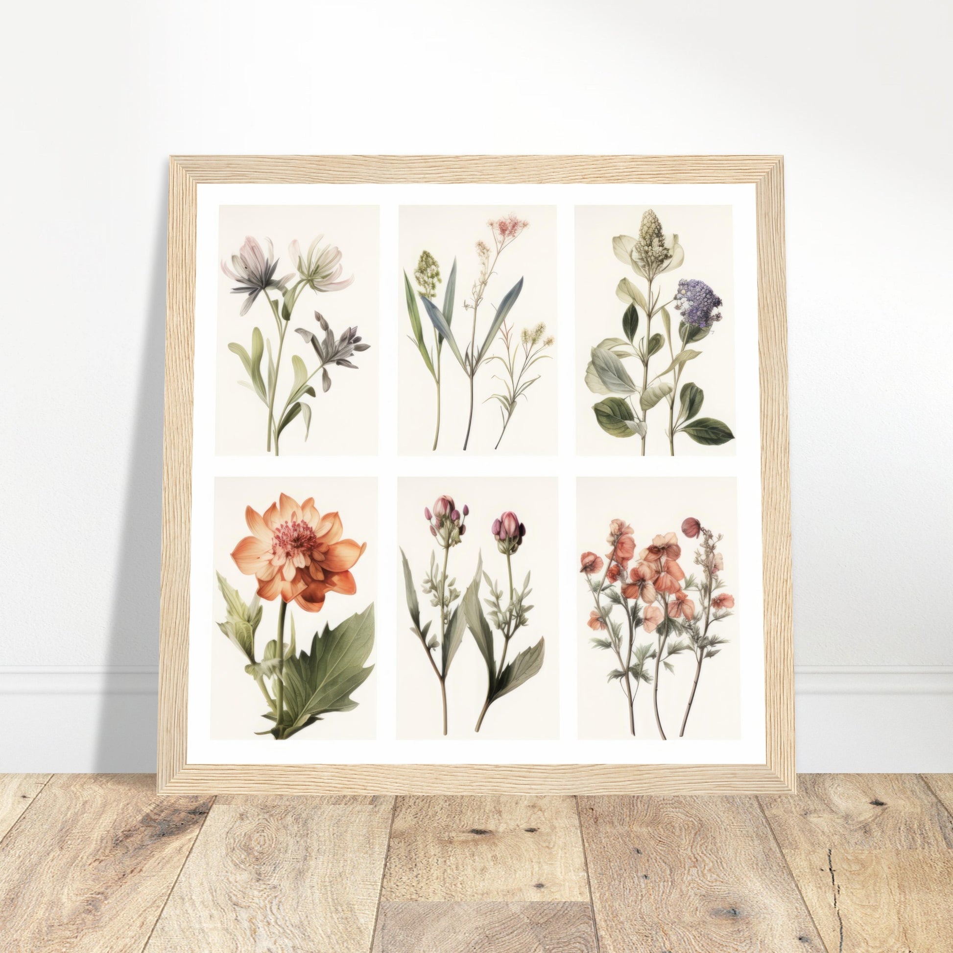 Elegance - Botanical Artwork #3- Print Room Ltd White frame 50x50 cm / 20x20"