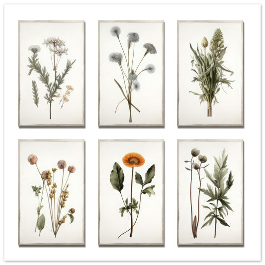 Exclusive Floral Artwork #3 - Print Room Ltd No Frame Selected 70x70 cm / 28x28"