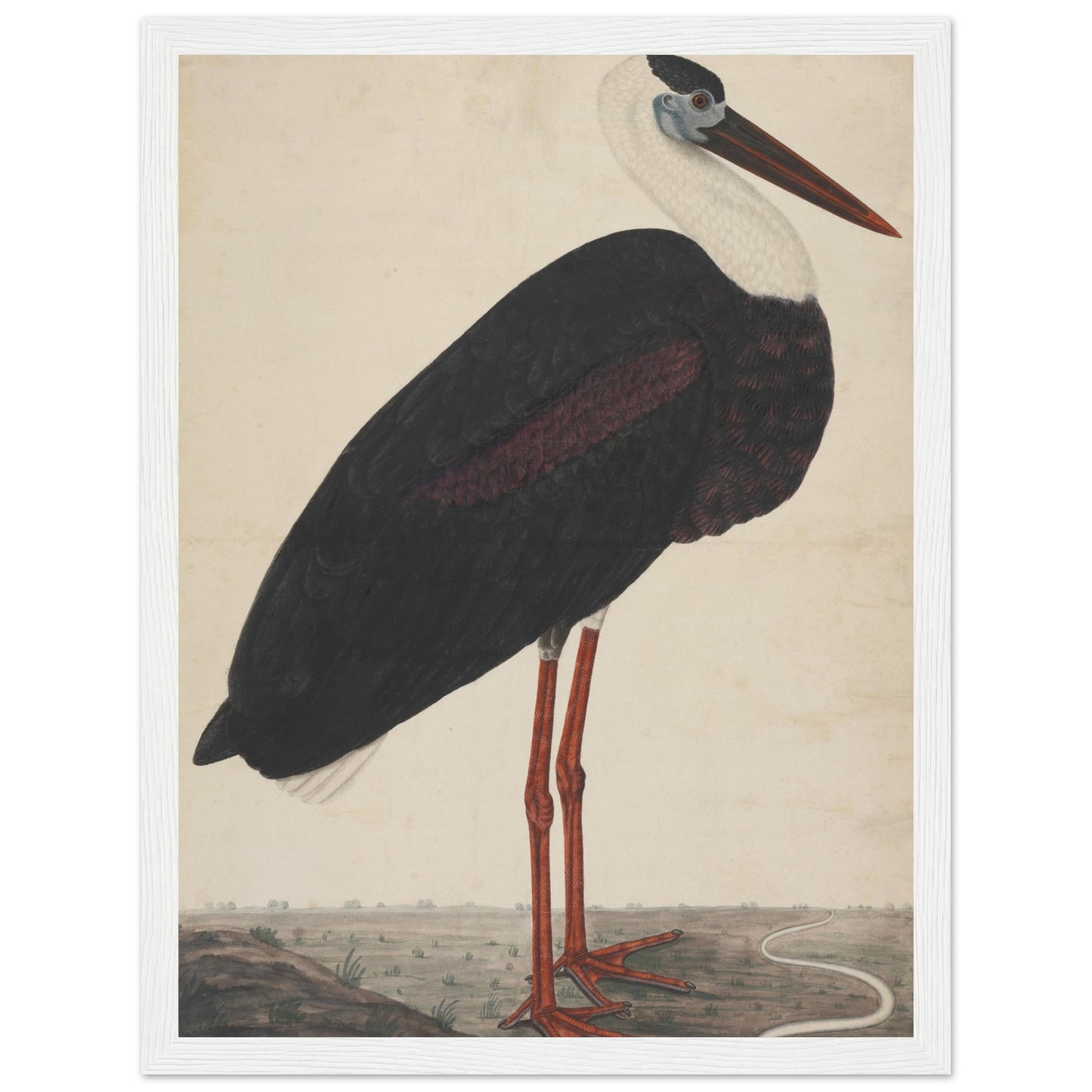 Stork artwork print white frame| by Print Room Ltd