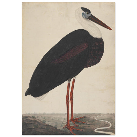 Stork artwork print | by Print Room Ltd