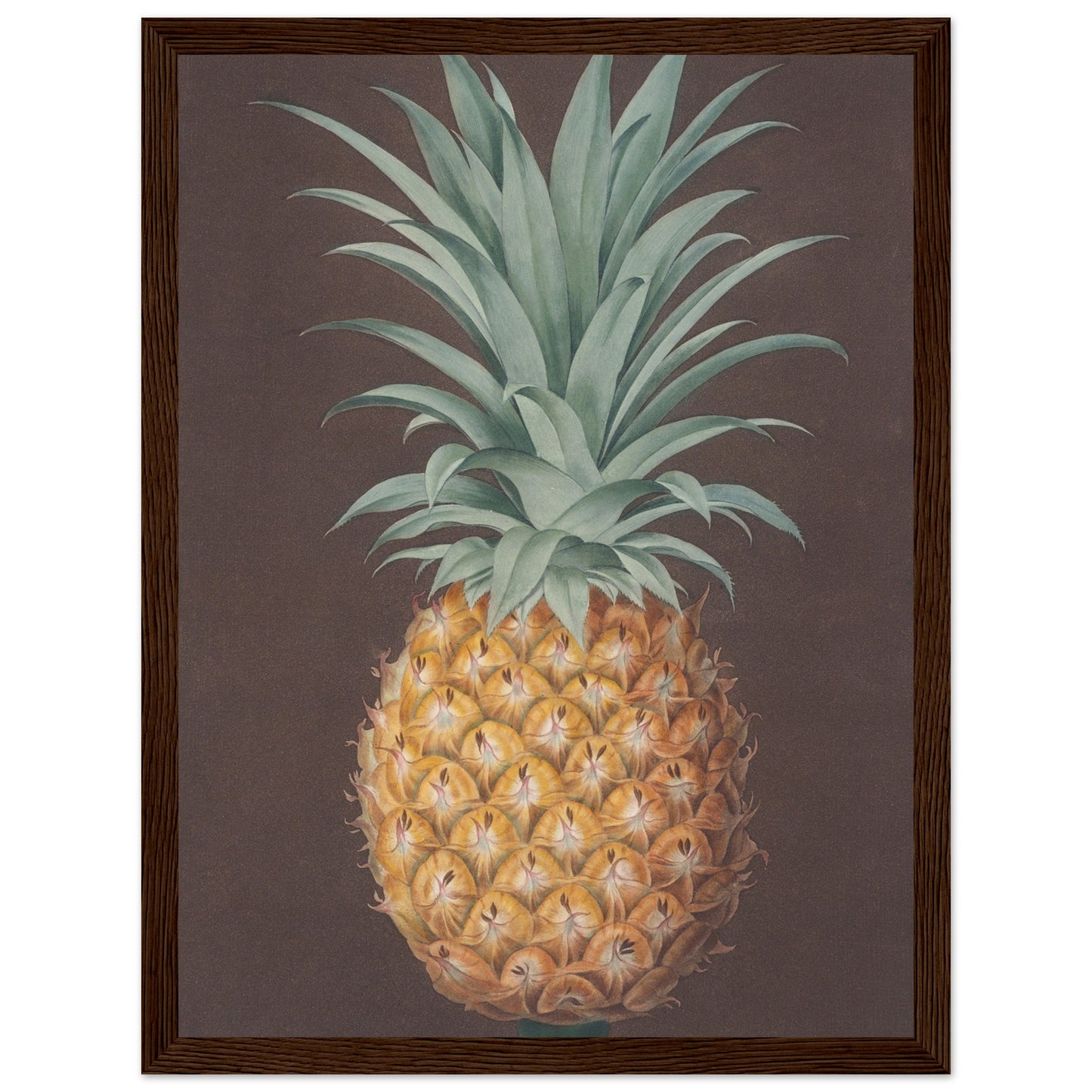 Pineapple Art Print  Dark Wood Frame| By Print Room Ltd
