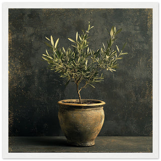 Vintage Olive Tree in Antique Greek Style Pot Art Print White Frame