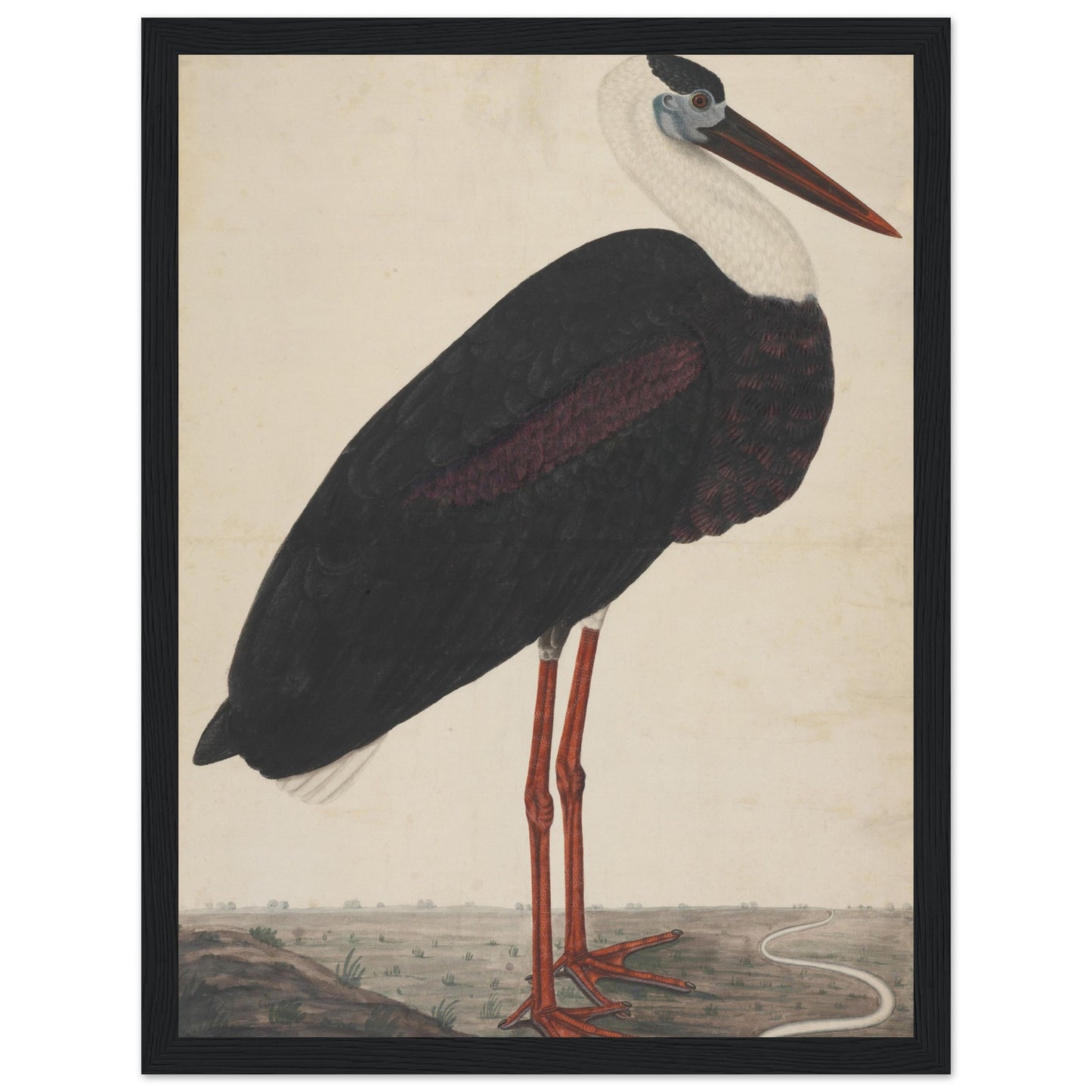 Stork artwork print black frame | by Print Room Ltd
