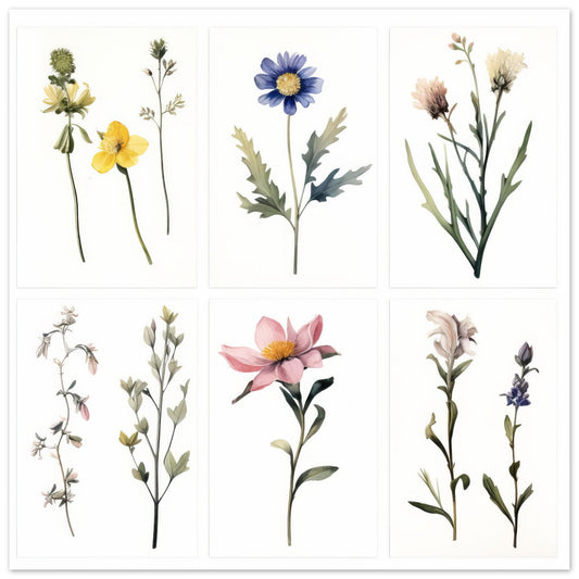 Elegance - Botanical Artwork #4- Print Room Ltd No Frame Selected 70x70 cm / 28x28"