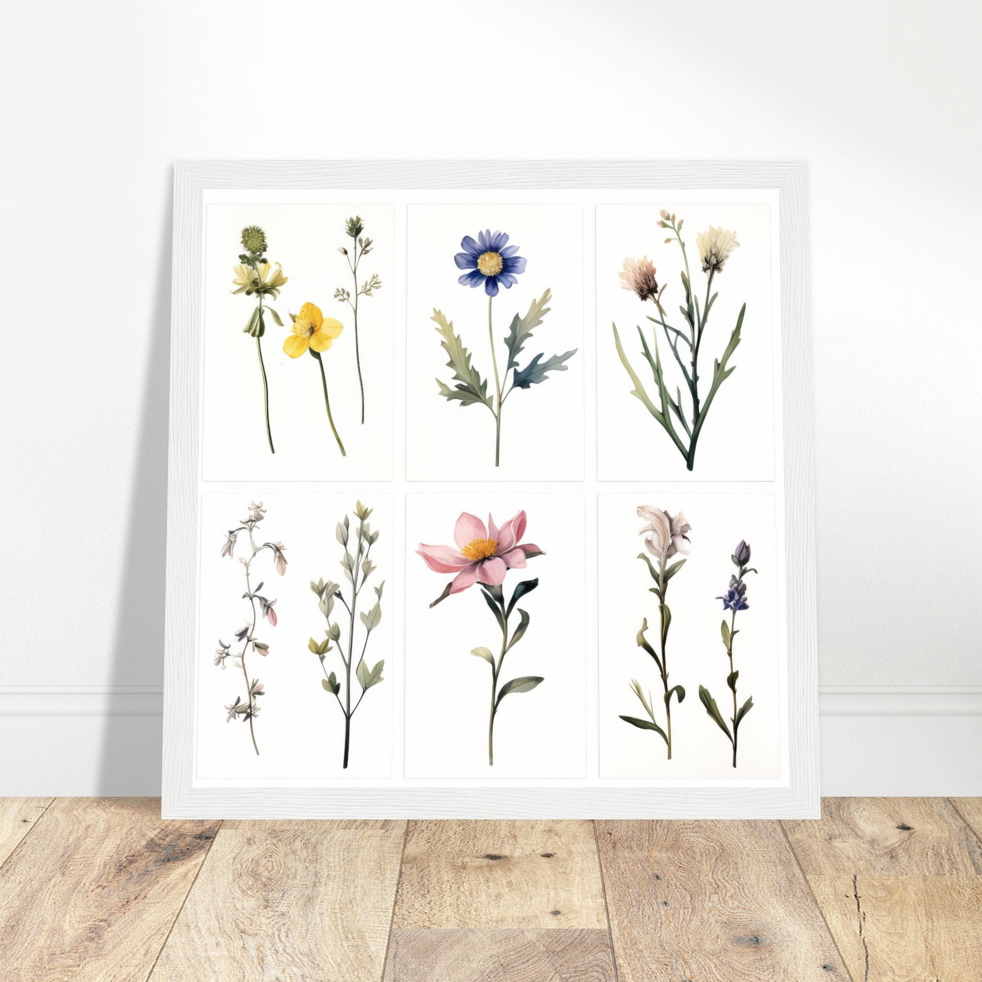 Elegance - Botanical Artwork #4- Print Room Ltd Dark wood frame 70x70 cm / 28x28"