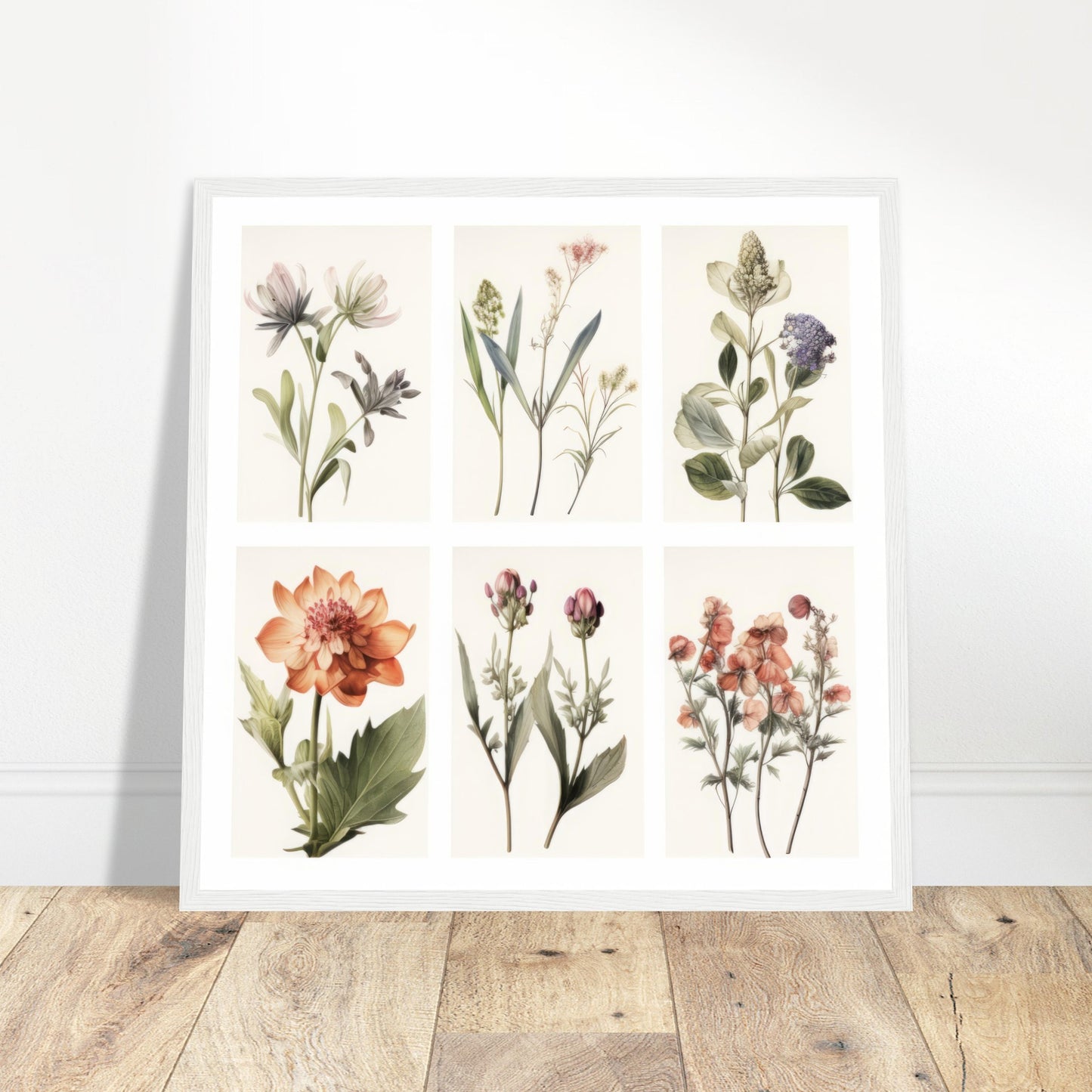 Elegance - Botanical Artwork #3- Print Room Ltd Dark wood frame 50x50 cm / 20x20"