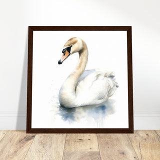 Mute Swan Print - Print Room Ltd Black frame 50x50 cm / 20x20"