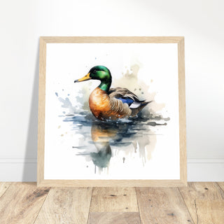 Mallard Artwork Print - Print Room Ltd White frame 70x70 cm / 28x28"