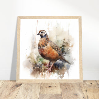 Partridge Art Print - Print Room Ltd Black frame 50x50 cm / 20x20"