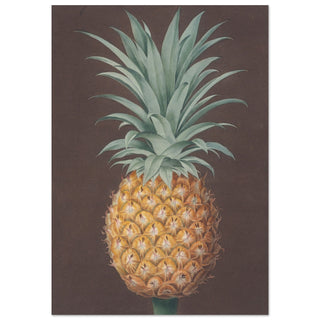 Pineapple Art Print | By Print Room Ltd