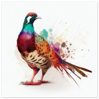 Exclusive Pheasant Print - Print Room Ltd No Frame Selected 70x70 cm / 28x28"