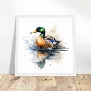 Mallard Artwork Print - Print Room Ltd No Frame Selected 30x30 cm / 12x12"