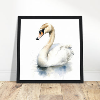 Mute Swan Print - Print Room Ltd  