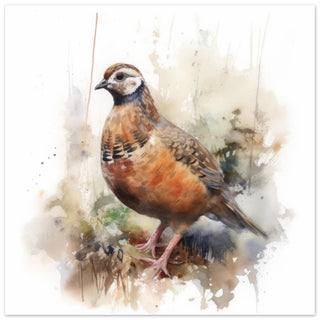 Partridge Art Print - Print Room Ltd No Frame Selected 70x70 cm / 28x28"