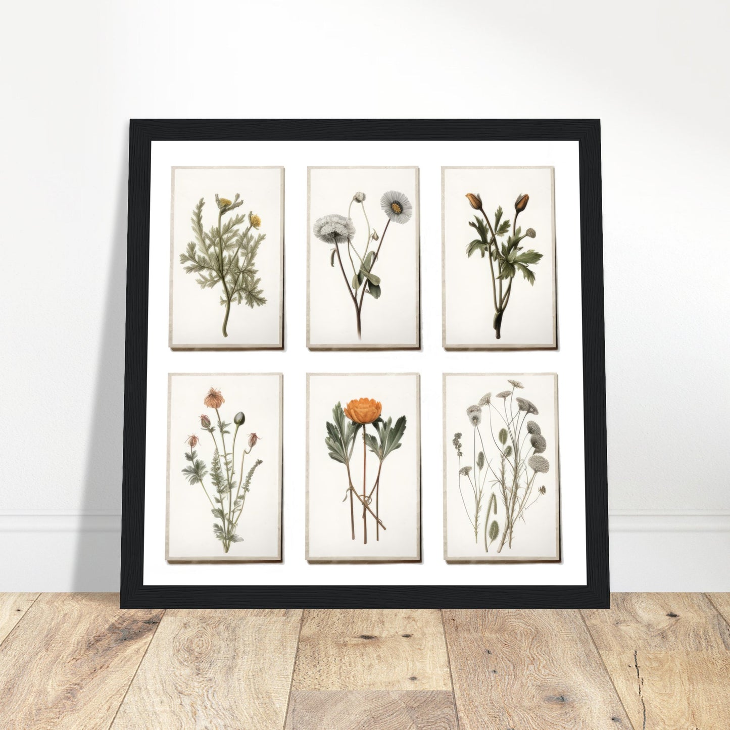 Botanical Artwork - Nature's Masterpiece Dark wood frame 50x50 cm / 20x20"