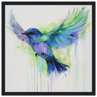 Bluebird in Flight - A Symphony of Colours Art Print Black Frame