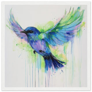 Bluebird in Flight - A Symphony of Colours Art Print White Frame