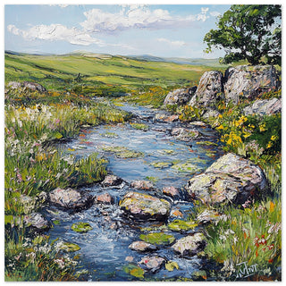 Dartmoor National Park in Summer Art Print