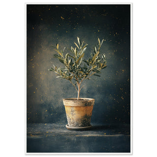 Vintage Olive Tree in Antique Pot White Wood Frame Art Print