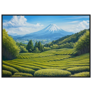a7562cb5-f0d0-4936-8b6d-06c91cc9a6be