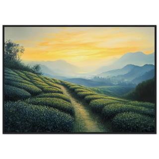 c048c64f-016b-455f-9401-10044aab3a7c