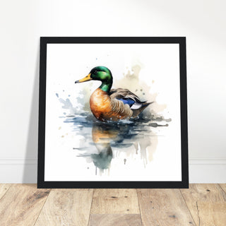 Mallard Artwork Print - Print Room Ltd Black frame 30x30 cm / 12x12"