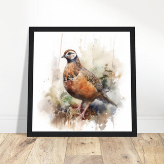 Partridge Art Print - Print Room Ltd No Frame Selected 50x50 cm / 20x20"